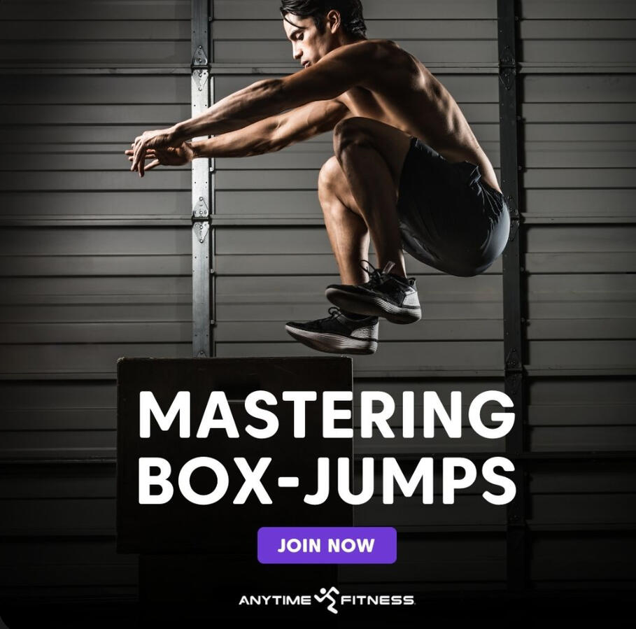 fitness fitness